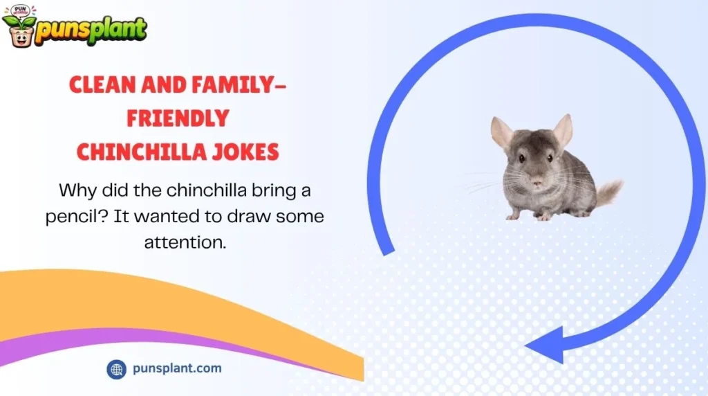Clean and Family-Friendly Chinchilla Jokes