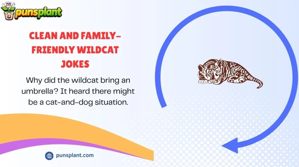 Clean and Family-Friendly Wildcat Jokes