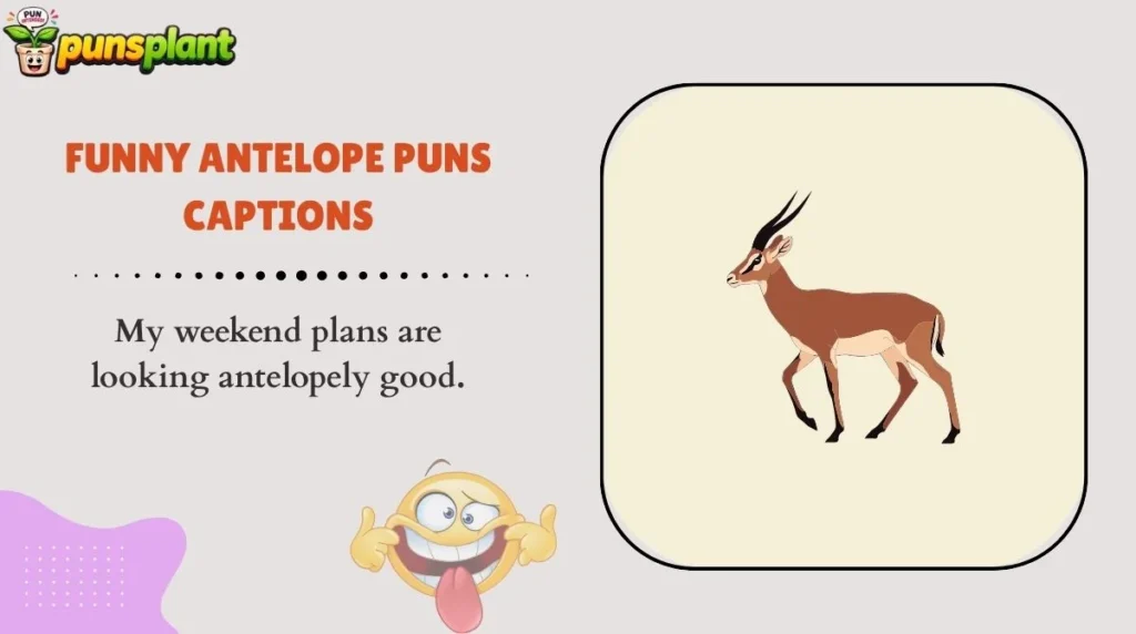 Funny Antelope Puns Captions