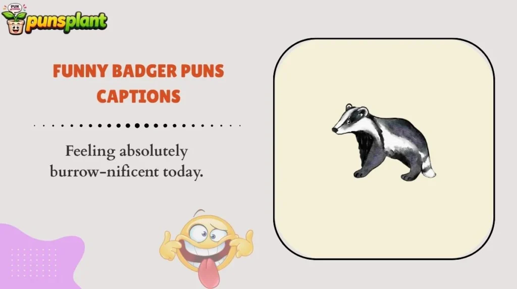 Funny Badger Puns Captions