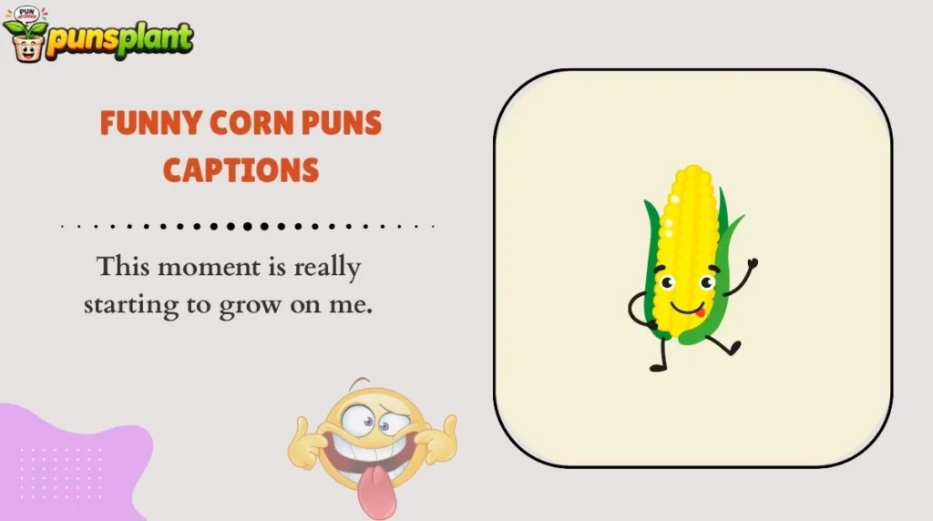 Funny Corn Puns Captions