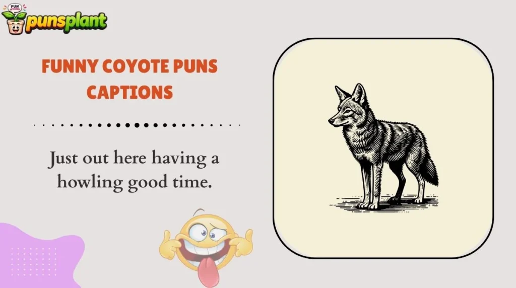 Funny Coyote Puns Captions