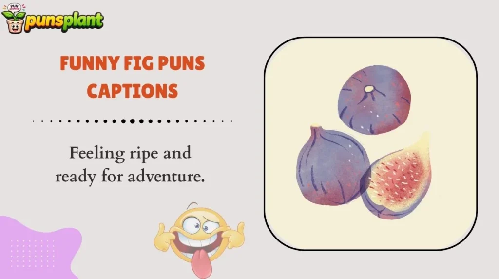 Funny Fig Puns Captions
