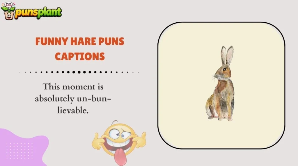 Funny Hare Puns Captions