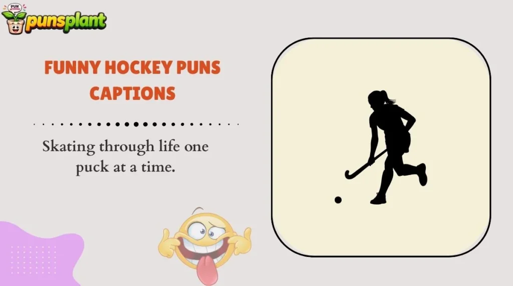Funny Hockey Puns Captions