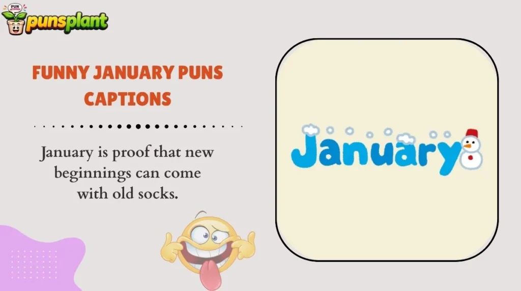 Funny January Puns Captions
