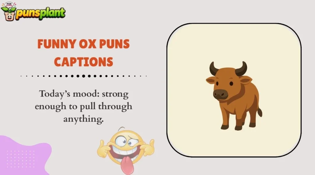 Funny Ox Puns Captions