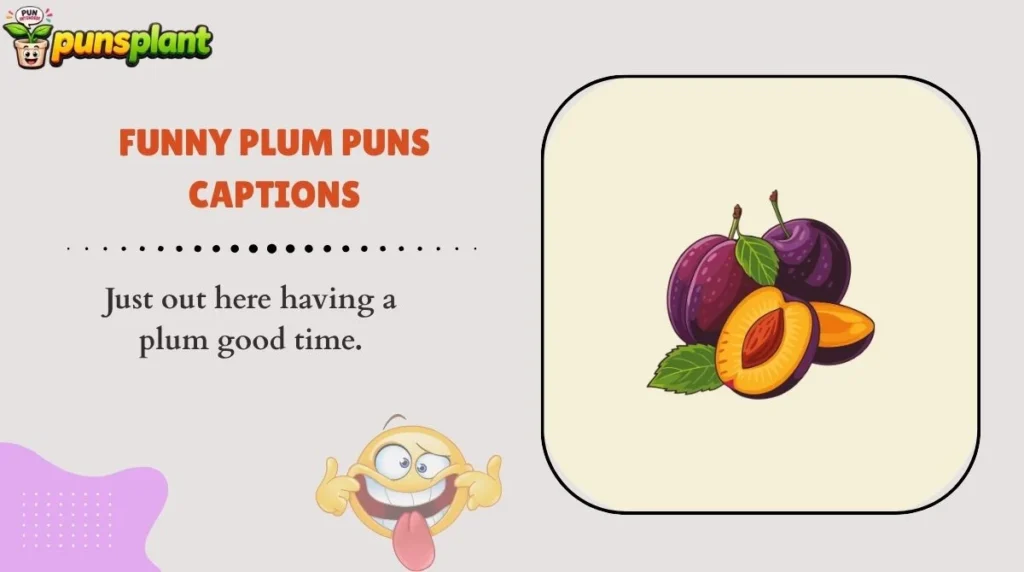 Funny Plum Puns Captions
