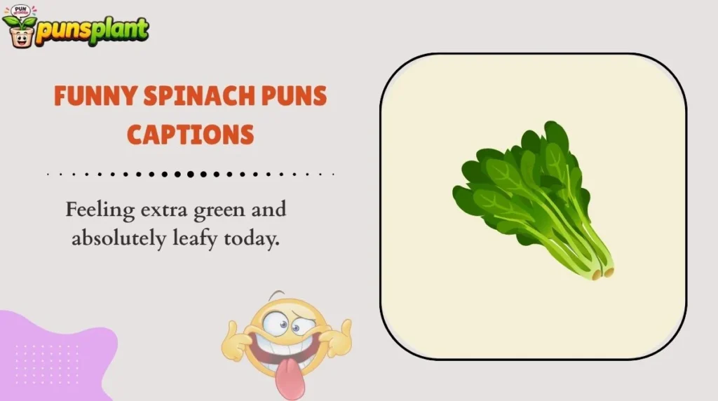 Funny Spinach Puns Captions