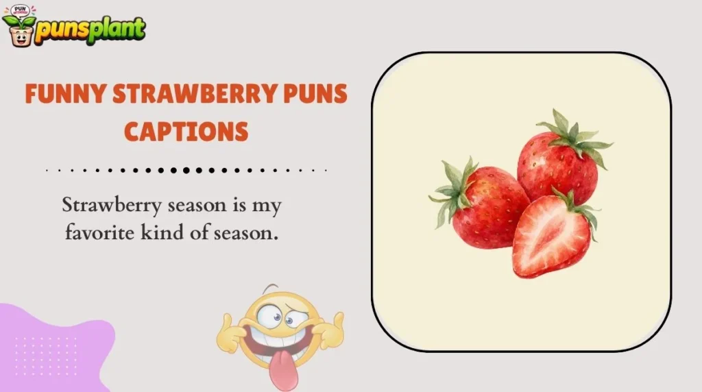 Funny Strawberry Puns Captions
