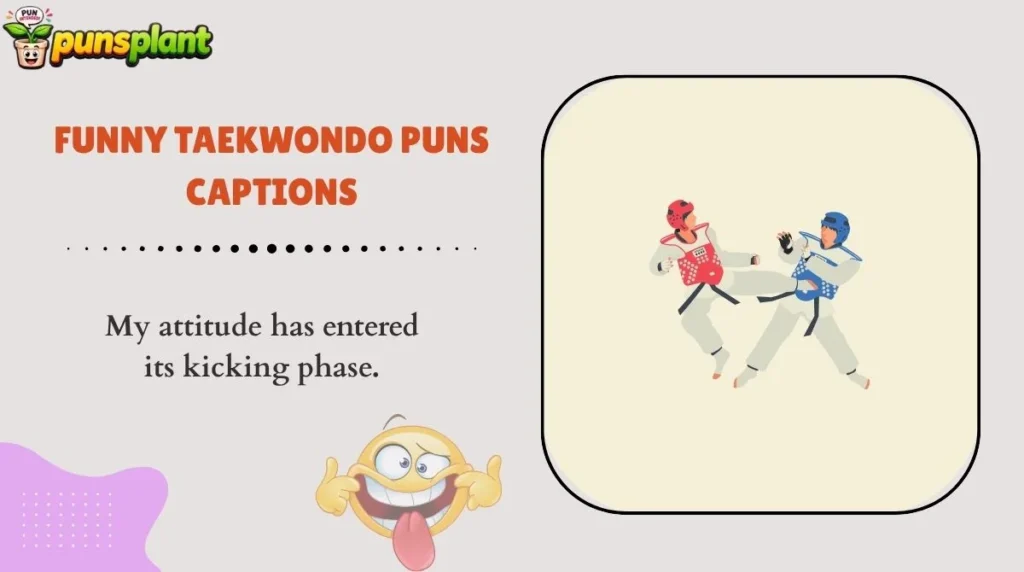 Funny Taekwondo Puns Captions