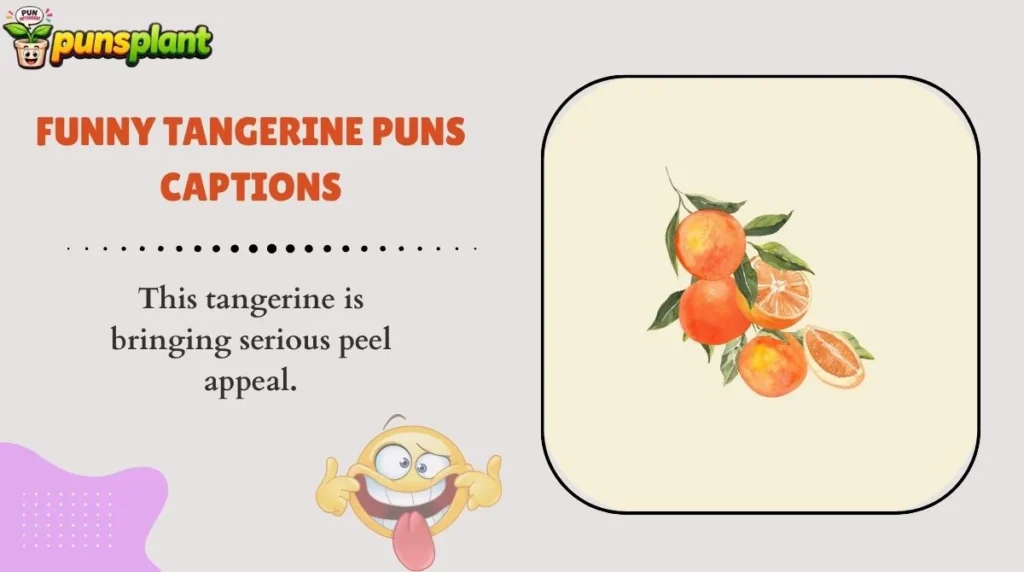 Funny Tangerine Puns Captions