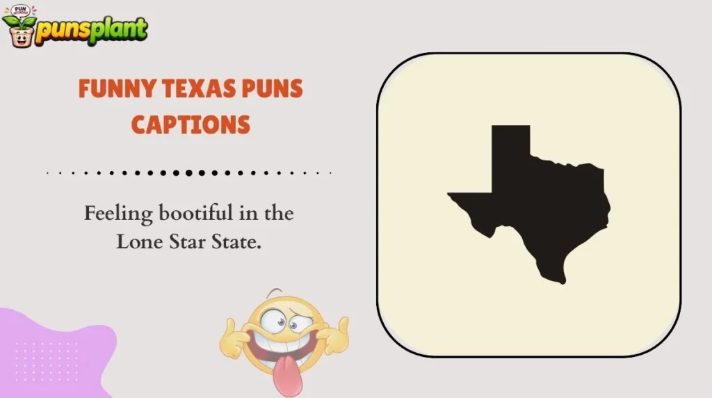 Funny Texas Puns Captions