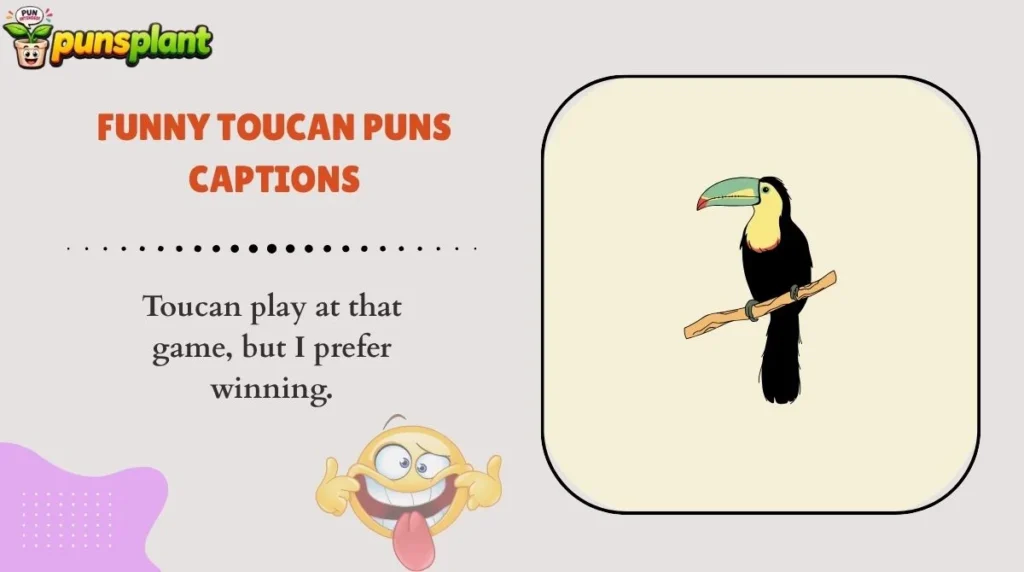 Funny Toucan Puns Captions