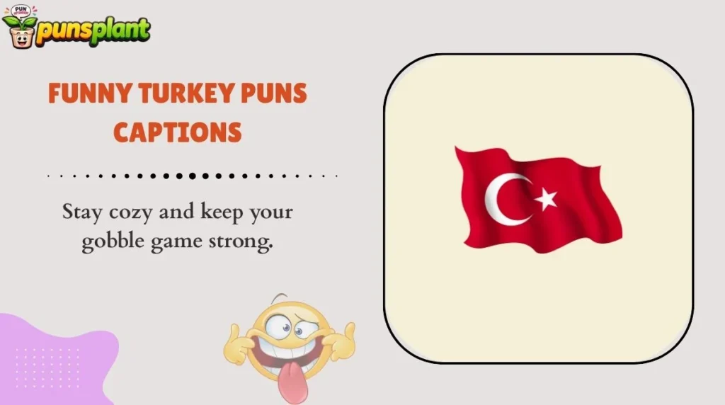 Funny Turkey Puns Captions