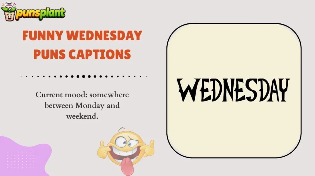 Funny Wednesday Puns Captions