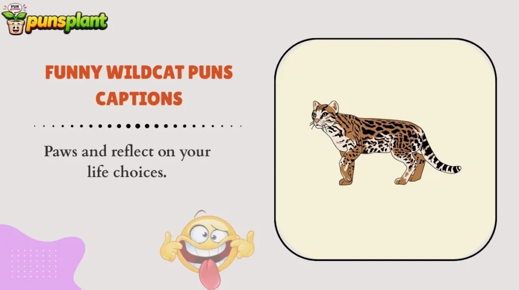 Funny Wildcat Puns Captions
