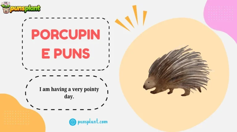 Porcupine Puns