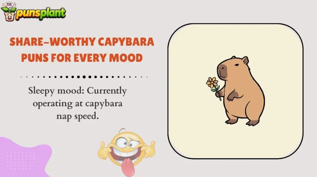 Share-Worthy Capybara Puns for Every Mood