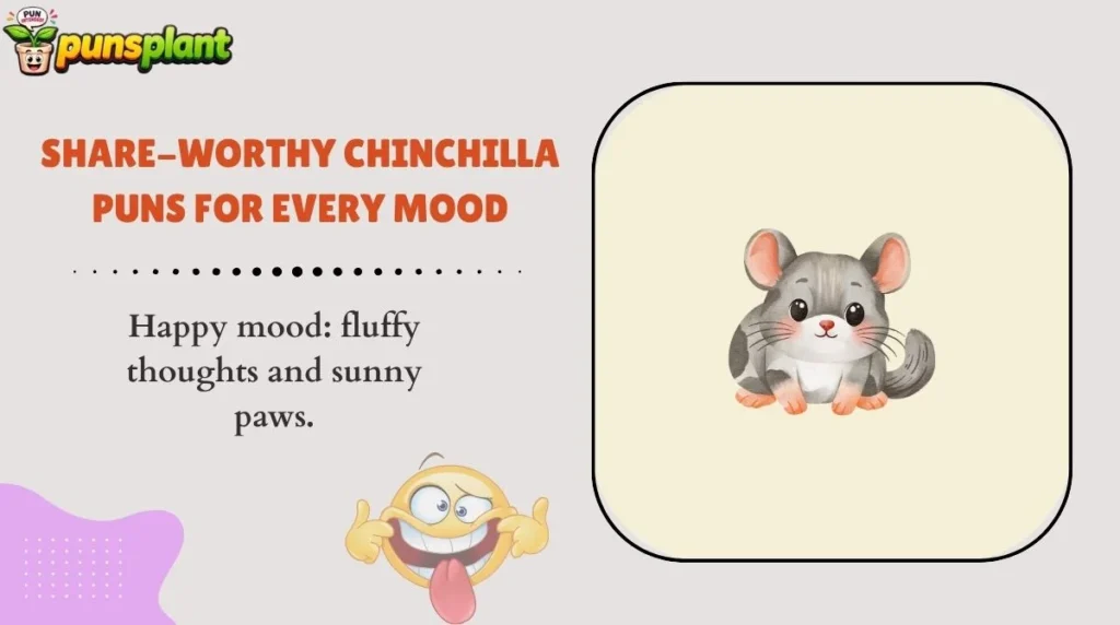 Share-Worthy Chinchilla Puns for Every Mood
