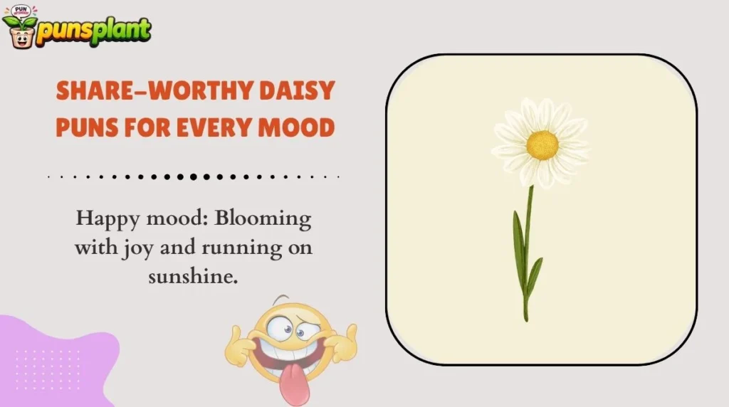Share-Worthy Daisy Puns for Every Mood
