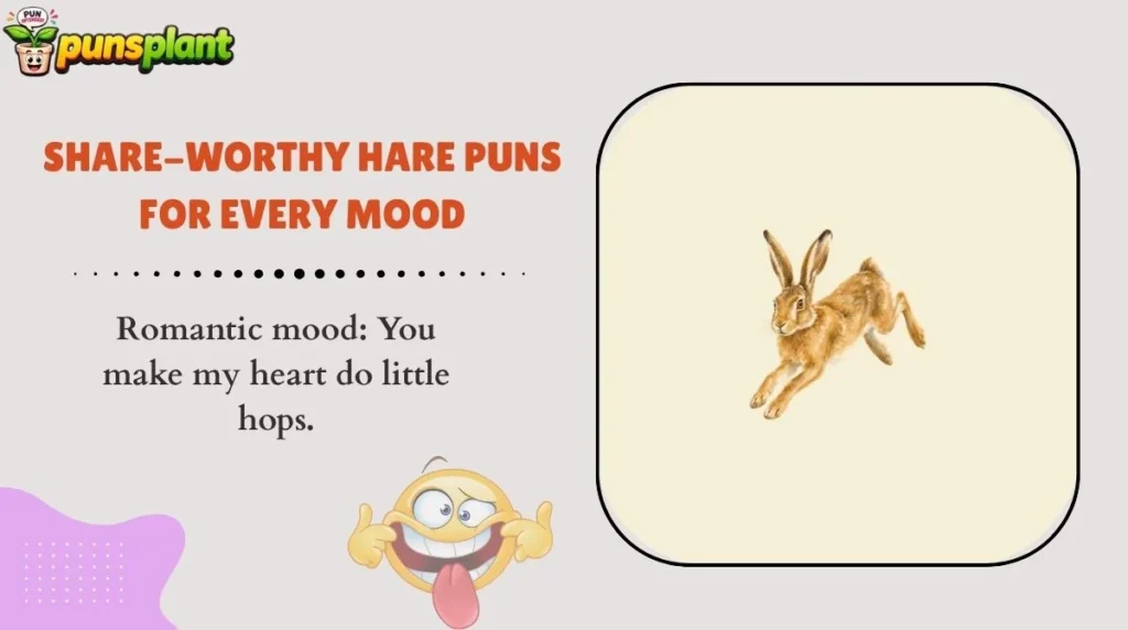 Share-Worthy Hare Puns for Every Mood