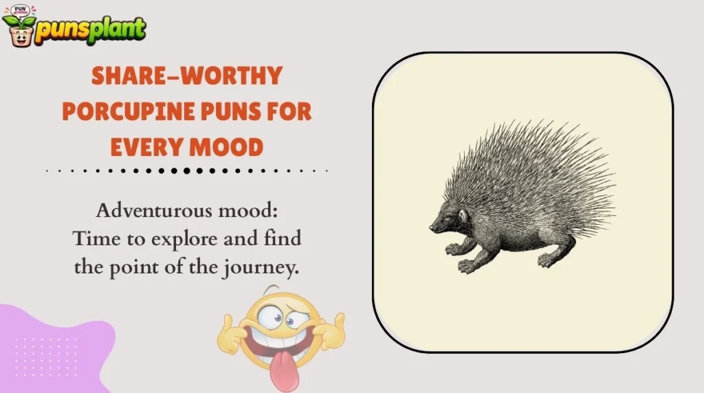 Share-Worthy Porcupine Puns for Every Mood