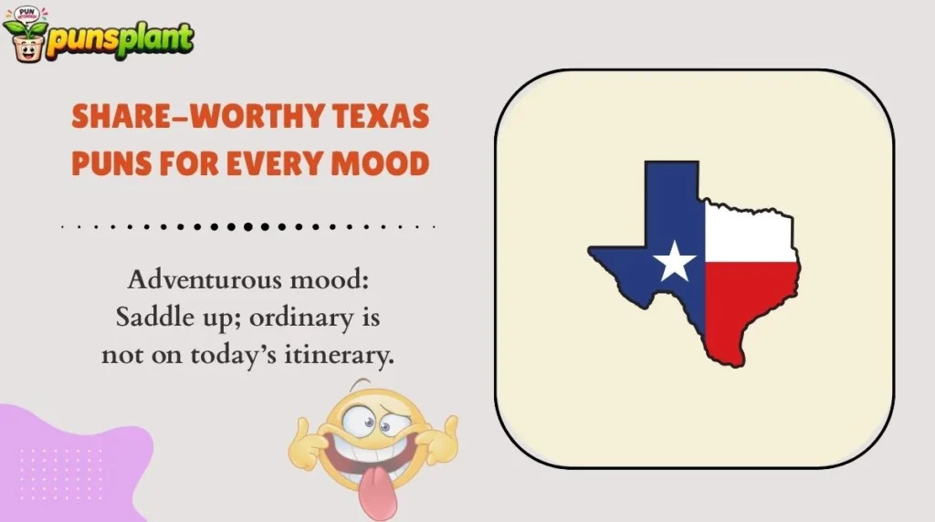 Share-Worthy Texas Puns for Every Mood