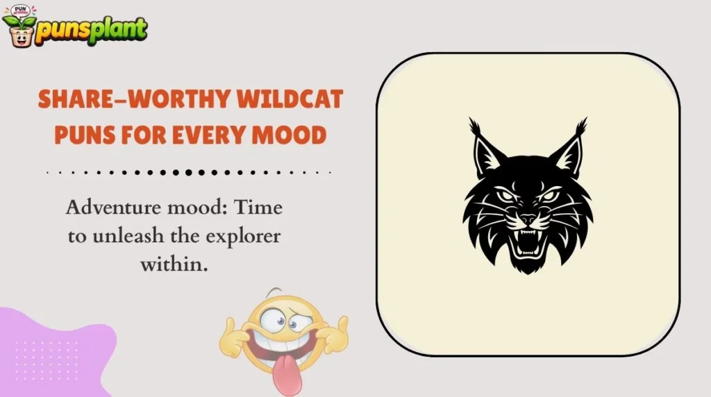 Share-Worthy Wildcat Puns for Every Mood