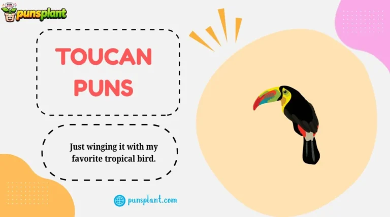 Toucan Puns