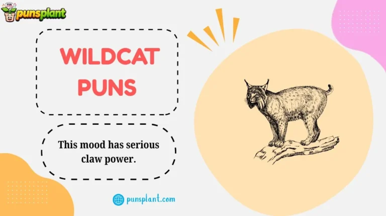 Wildcat Puns